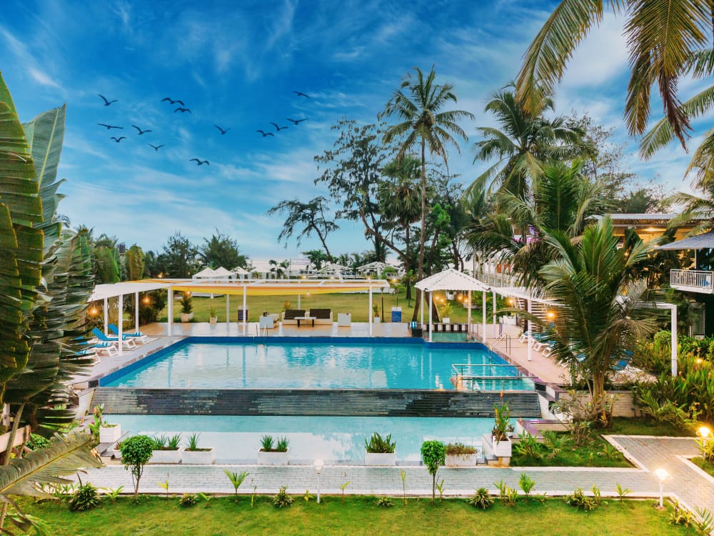 677d0adf66891Pool