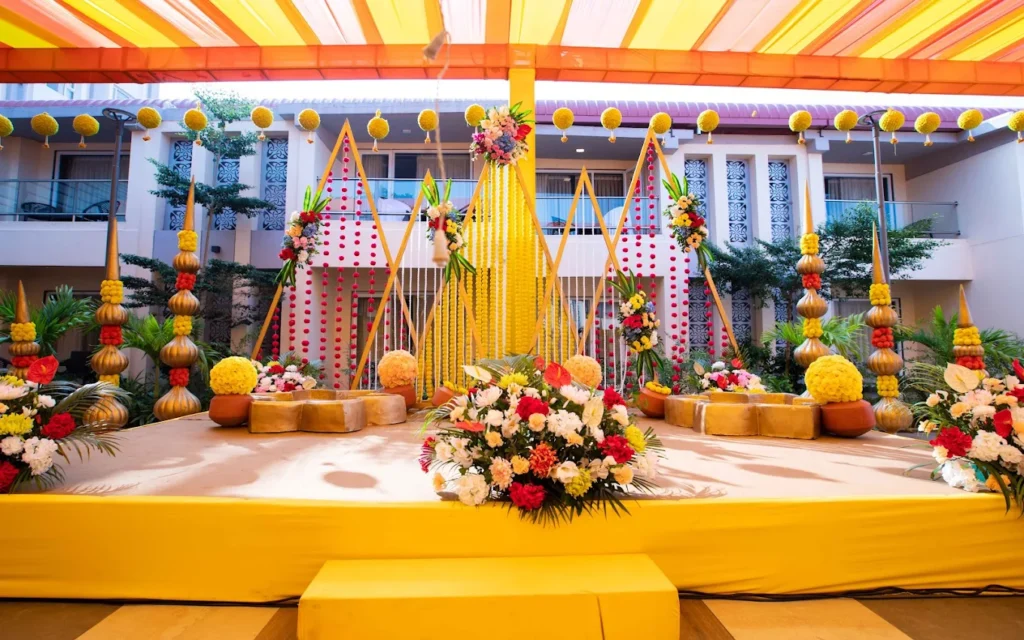 IP-S&A-HALDI (238)