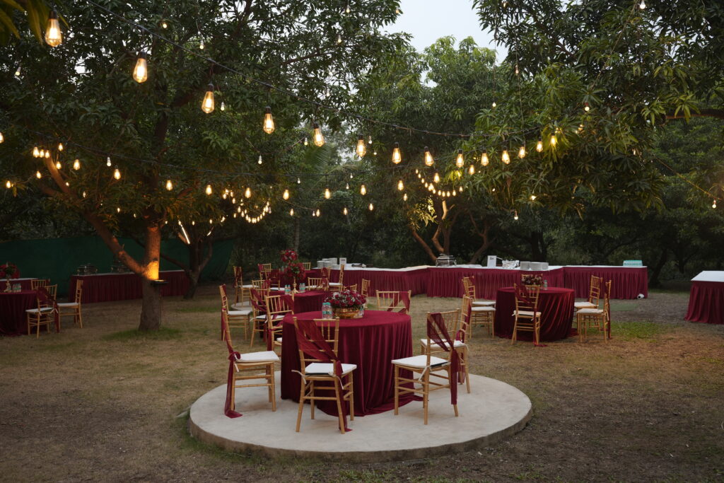 wedmandap5