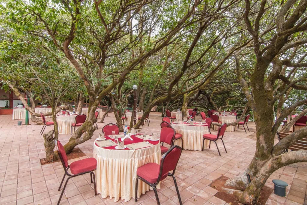 F9Vm75pTzpX03DerlnDFiqXaxdtM5Z66QsW2Her9