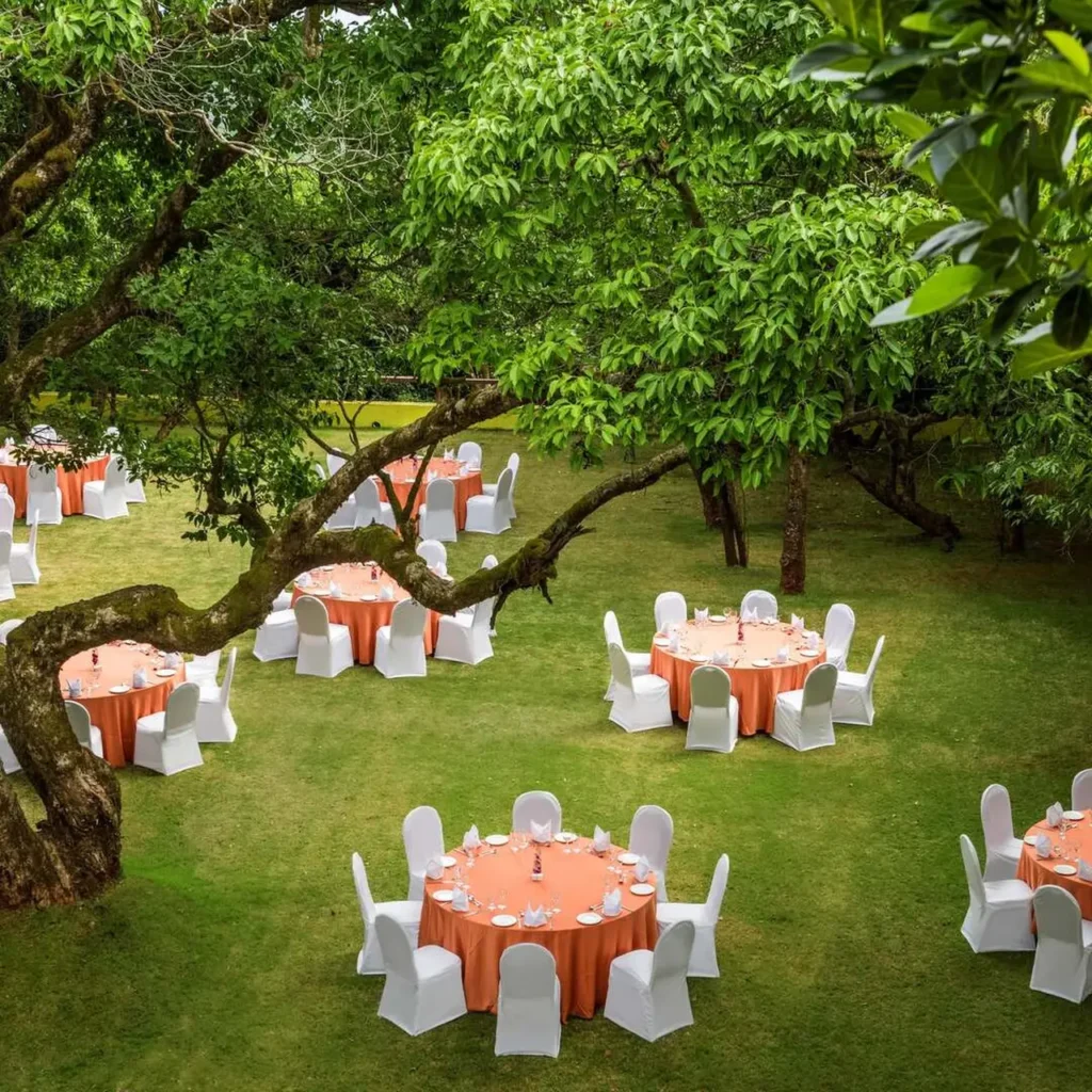 mfbVGoHegiowCpTyKn71dkvT8GCgXspthm0avta6